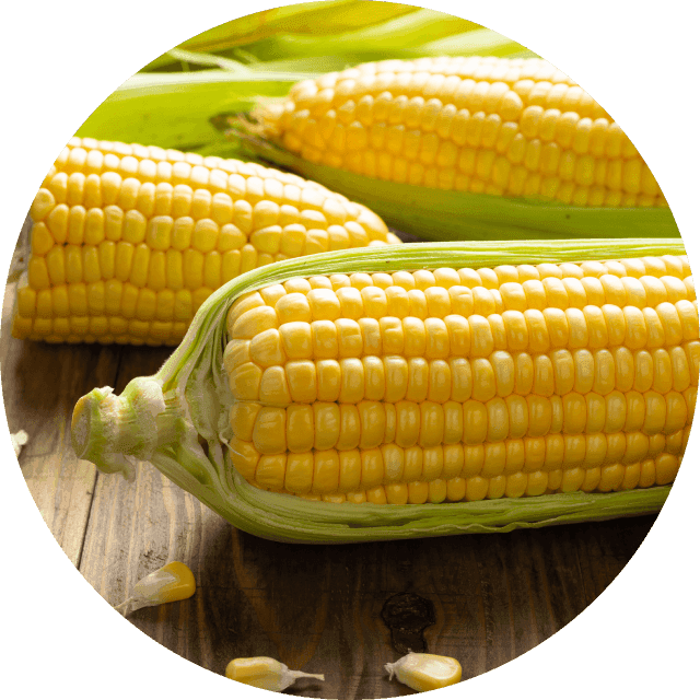 Corn fibre
